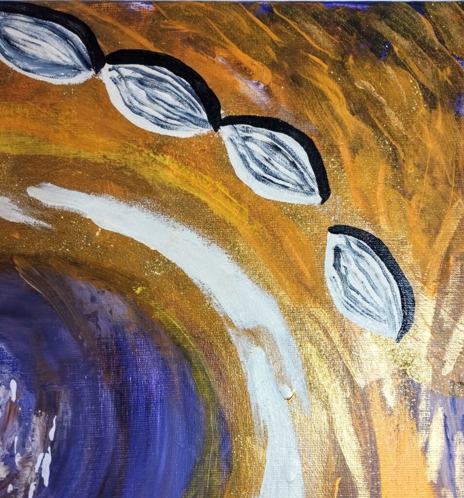 Chemin de graines – Image 3