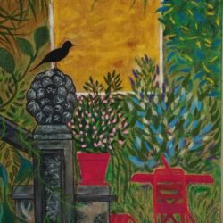 Merle au jardin tropical.isé