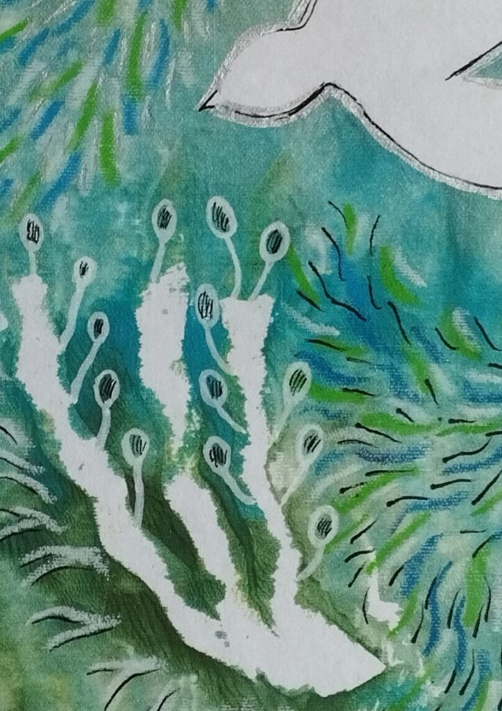 Petit format: l'oiseau sous la mer – Image 3