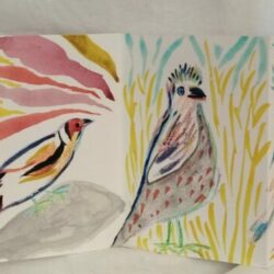 ''Des oiseaux, des fleurs ''. Leporello à l'aquarelle